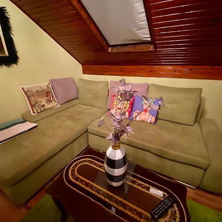 Villa Miris Dunja Zlatibor Luaran gambar