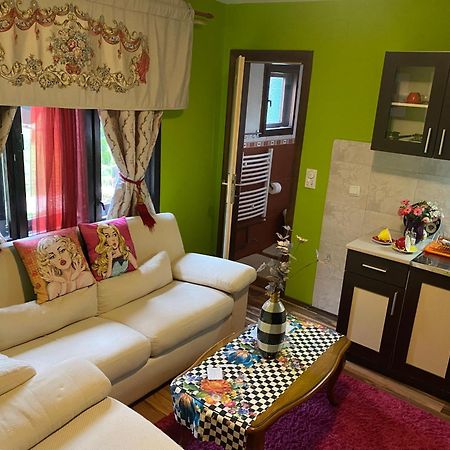 Villa Miris Dunja Zlatibor Luaran gambar