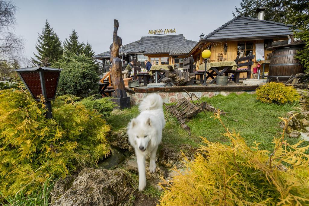 Villa Miris Dunja Zlatibor Luaran gambar