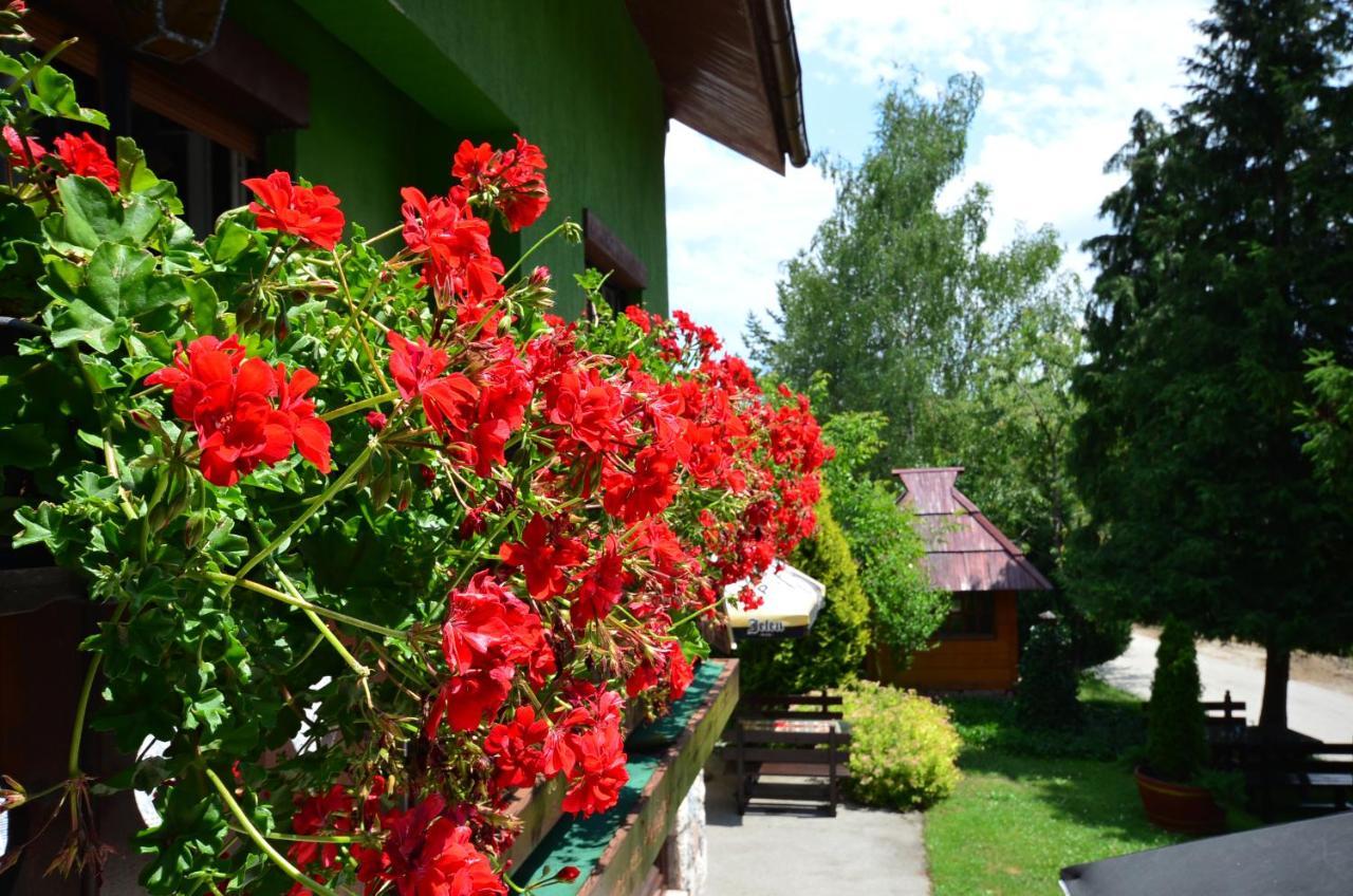 Villa Miris Dunja Zlatibor Luaran gambar