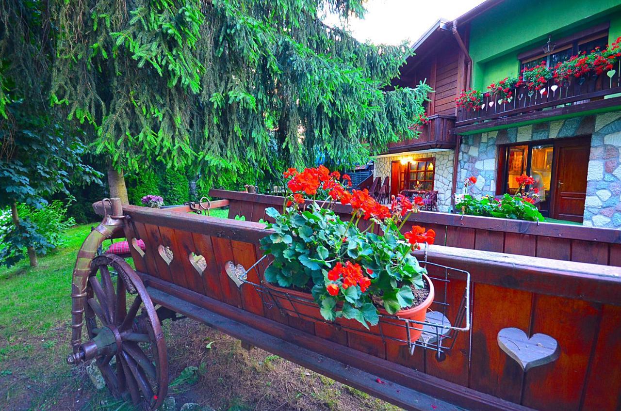 Villa Miris Dunja Zlatibor Luaran gambar